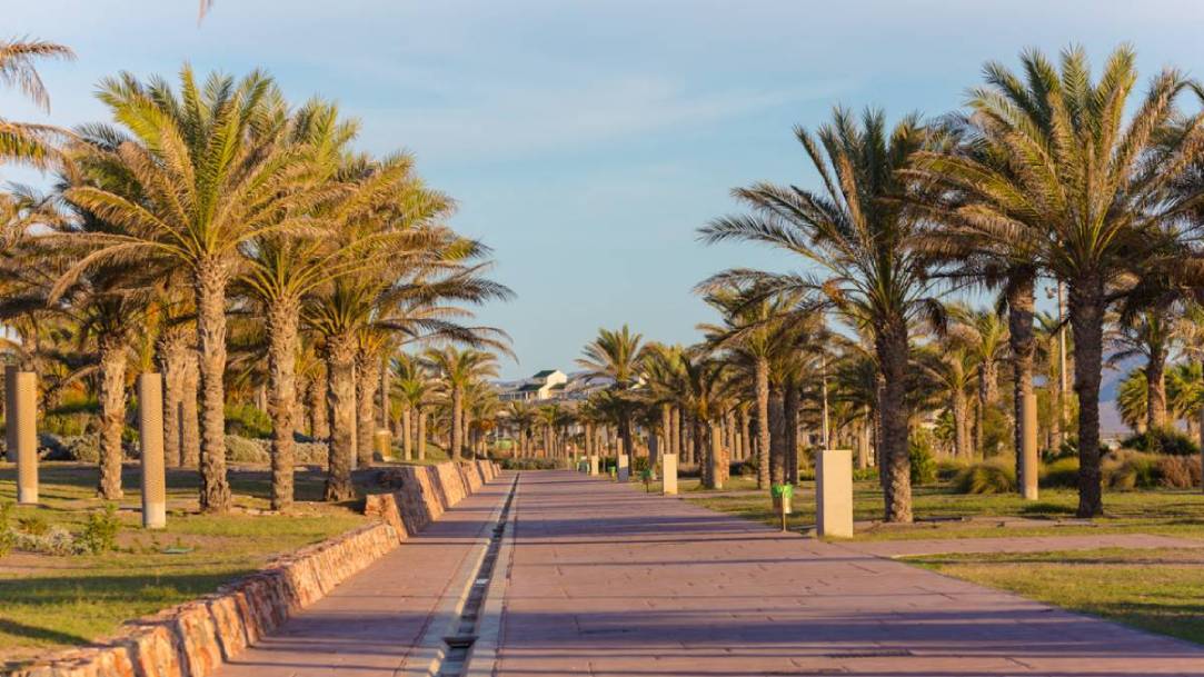 Paseo peatonal con palmeras en Almería al atardecer, ejemplo de calidad de vida y clima mediterráneo
