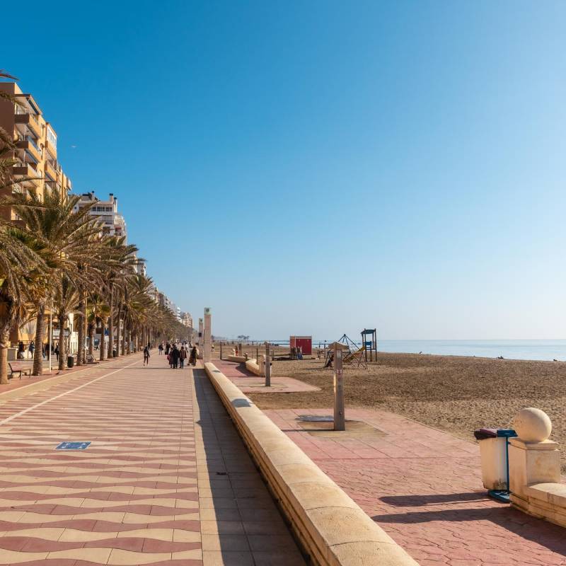 Paseo marítimo y playa de Almería con palmeras y cielo azul, destino ideal para vivir y trabajar en remoto en España